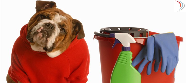 Condomínios – Como deve ser a higienização dos locais onde gatos e cachorros defecam?